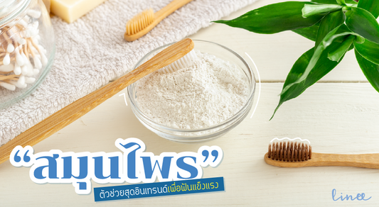 “สมุนไพร” ตัวช่วยสุดอินเทรนด์ เพื่อ “ฟันขาว” แข็งแรง